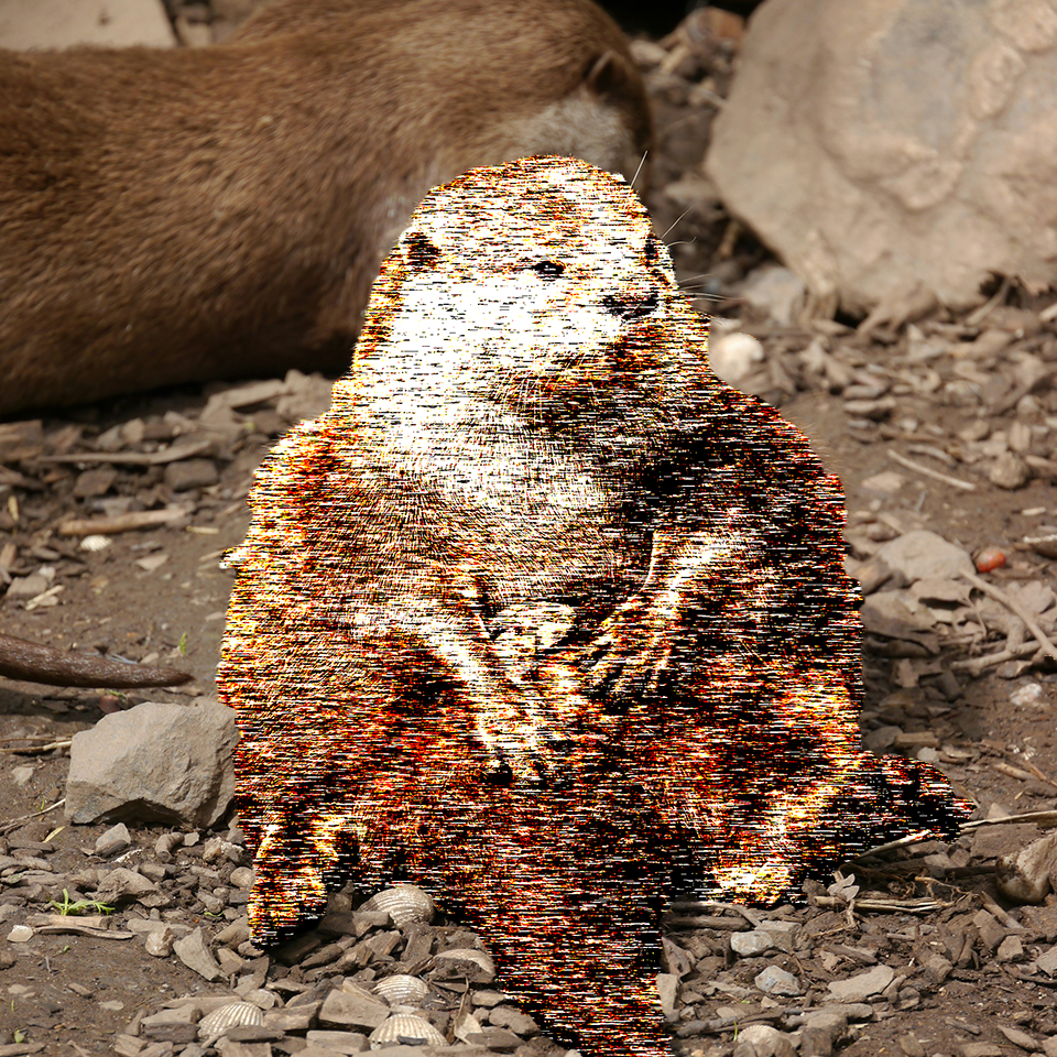 Otter Sitting