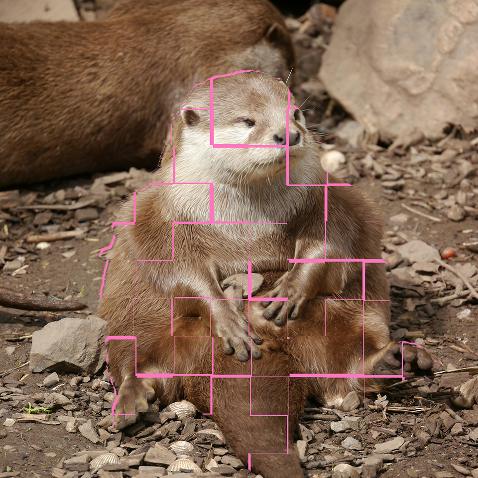 Otter Sitting